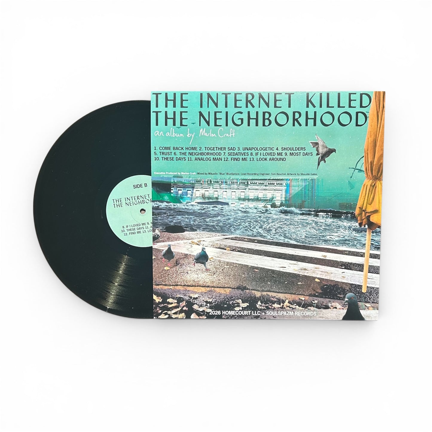 The Internet Killed The Neighborhood LP (BLACK VINYL LP)