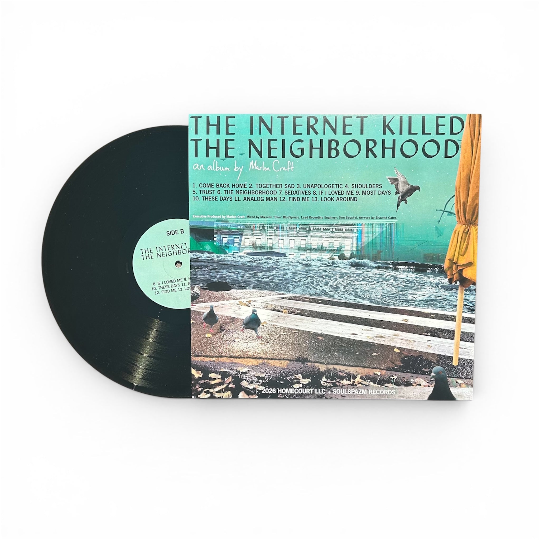 Signed) The Internet Killed The Neighborhood LP (BLACK VINYL LP